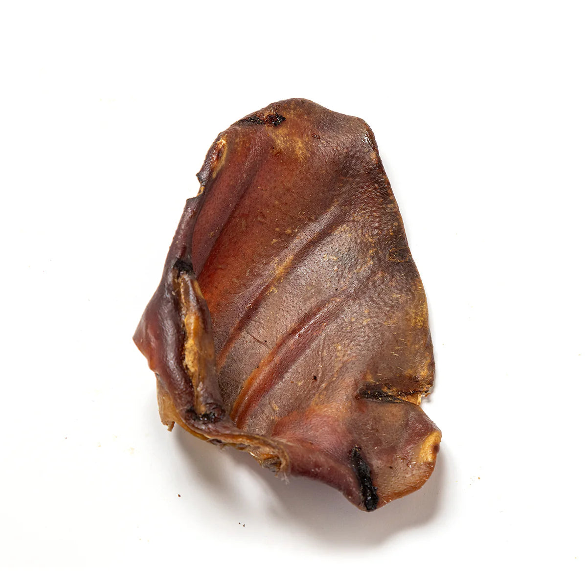 Reggie's December Bundle Bag